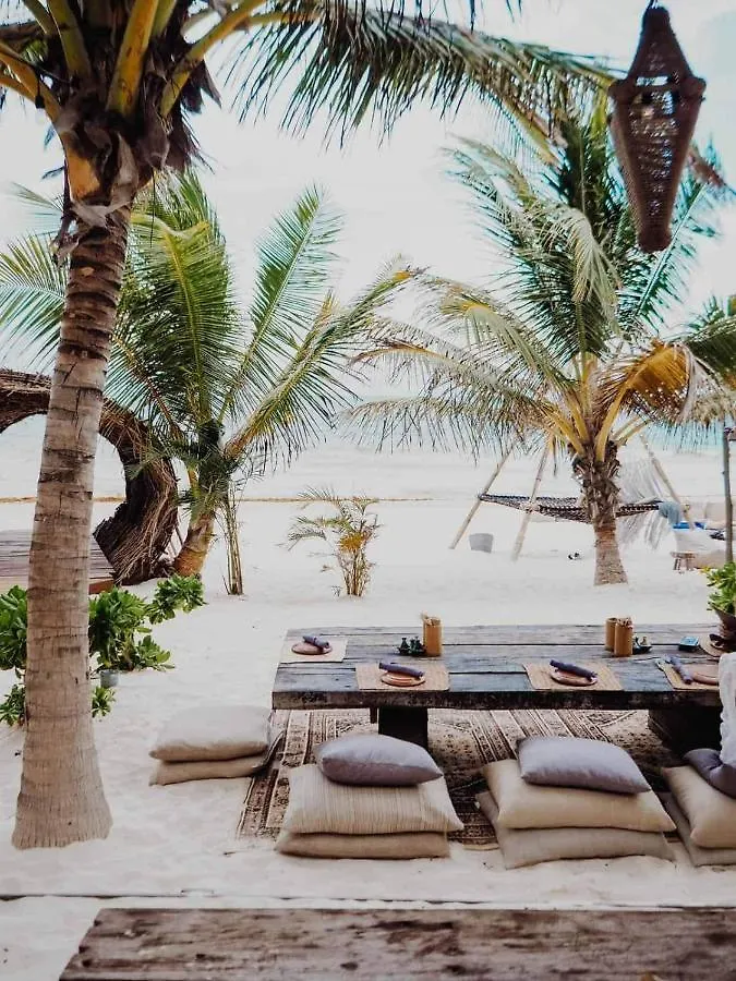 Rocky Villa In Tulum Beach Walking Distance To Papaya Project! Holiday home
