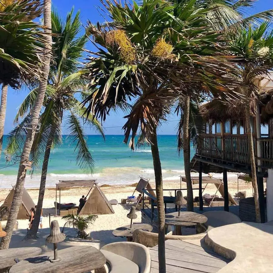 Rocky Villa In Tulum Beach Walking Distance To Papaya Project! Mexico