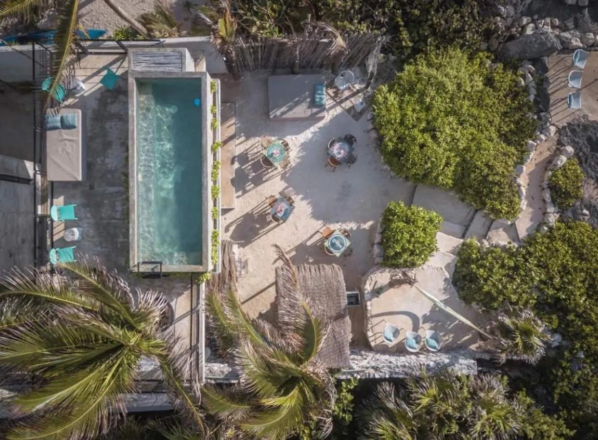 Rocky Villa In Tulum Beach Walking Distance To Papaya Project! מקסיקו